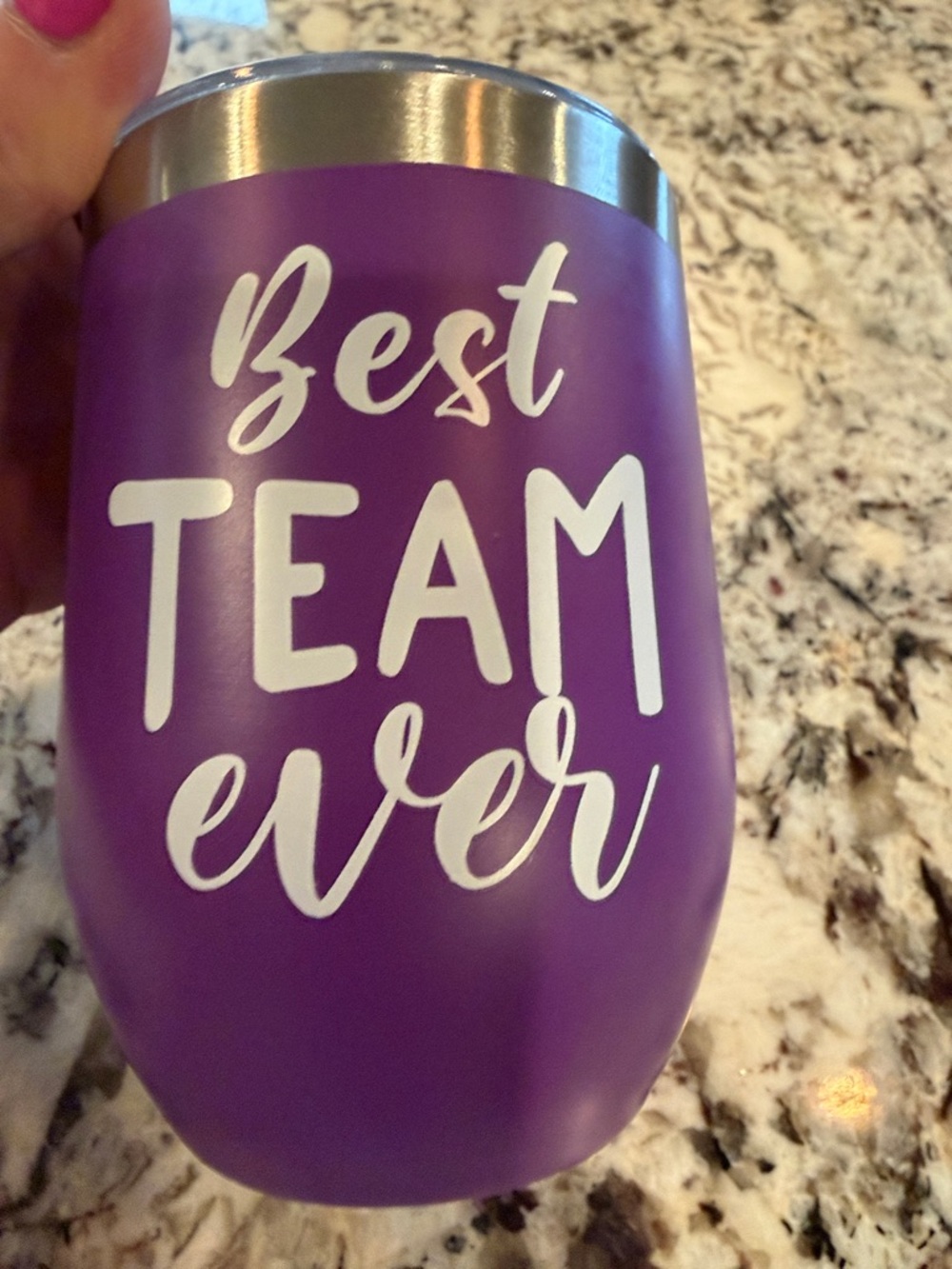 Purple "Best Team Ever" Insulated Tumbler